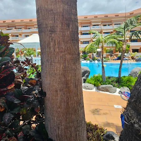 Tenerife Holidays Deluxe, Royal Garden, Americas 아파트 플라야데라스아메리카스